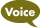 voice